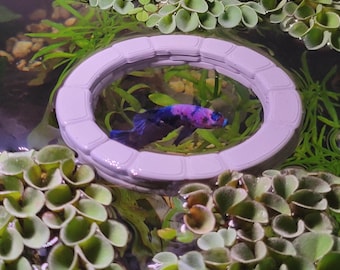 Floating Fish Feeding Ring – Aquarium Plant Barrier and Corral, Fish Tank Decor