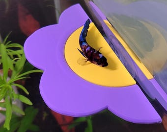 Betta Hammock & Perch - Aquarium Fish Tank Resting Ledge - Flower Decor Shelf and Ornament