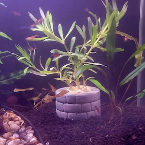 May include: An aquarium scene featuring a gray, brick-like planter holding a green plant with long, slender leaves. Small red fish swim around the plant and the planter. The aquarium has a dark background and black gravel.
