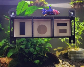 Betta Fish Tunnel Hide - Japandi Modern Art Decor - Shrimp Cave - Suction Cup Mounted