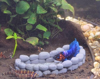 Koi Pond Style Aquarium Feeding Dish, Shrimp & Bottom Feeder Food Tray, Fish Tank Decor
