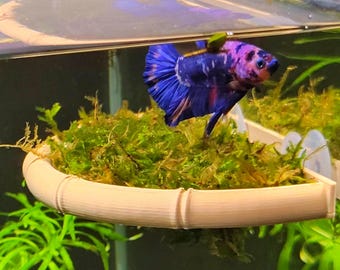 Aquarium Moss Ledge, Betta Rest Shelf, Bamboo Style Shrimp Tank Decor, Aquascape Platform