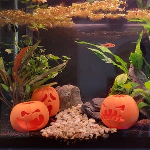 Halloween Aquarium Decor, Personalized Custom Jack O'Lantern Pumpkin, Ghost, Goblin, or Piranha Fish Tank Ornament, Shrimp Cave Decoration