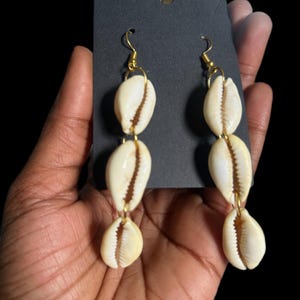Cowrie Shell Earrings