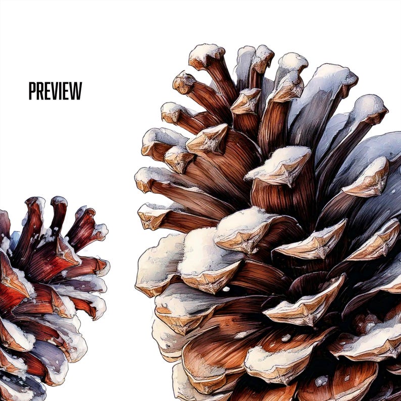 Pinecones on a White Background PRINTABLE DOWNLOADABLE DIGITAL - Etsy