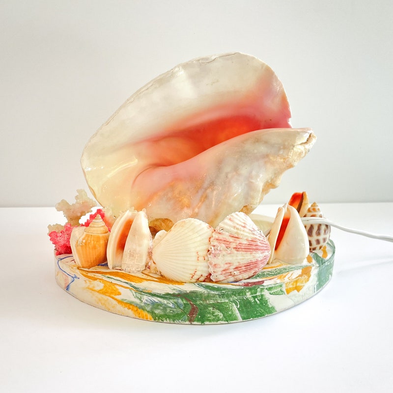 Conch Shell Lamp - Etsy