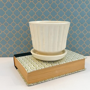 May include: A cream-colored ceramic plant pot with vertical ribbed detailing and a matching circular saucer base. The pot features a wide, open top and a tapered bottom, providing a clean and functional design for holding small indoor plants.