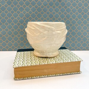 May include: A cream-colored ceramic planter with a textured, swirling relief pattern on its exterior surface. The planter features a wide, open top and a slightly tapered base, resting on a book with a green and white patterned cover.