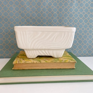 May include: An off-white ceramic planter, rectangular in shape, with a textured, leaf design. It rests on two books, one green and one with a yellow and green cover. The background features a blue patterned design.