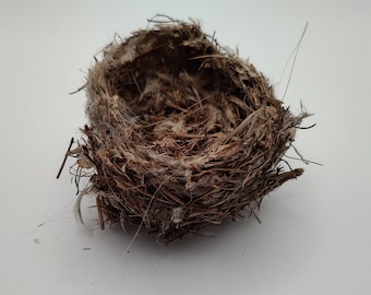 Small Bird Nest