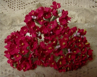 2 STRÄUßE VINTAGE Millinery Blumen Vergissmeinnicht Rot - Perfekt für Valentinstag Verpackung oder Basteln