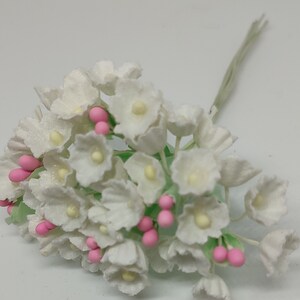 May include: A bunch of small white flowers with pink centers. The flowers are arranged in a cluster and have a green stem.
