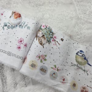 Jolie bordure pour petit oiseau - oiseaux sur une branche - oiseaux dans un nid