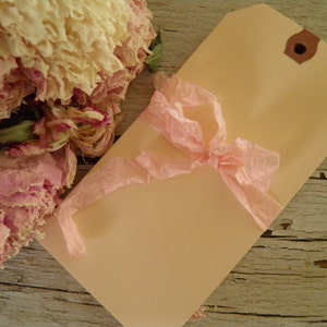 25 DIY Natural Manila Shipping Tags