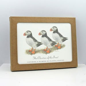 Puffins Note Cards - Stationery Set of 5