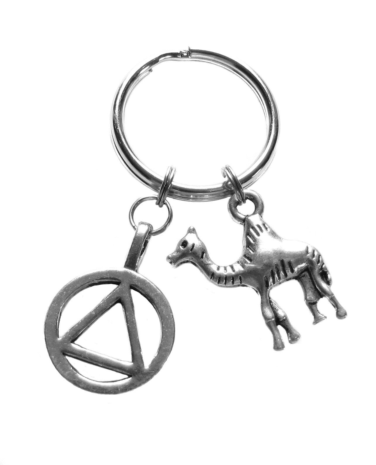 Alcoholics Anonymous AA Unity Symbol and Camel Charms 12 Step Etsy