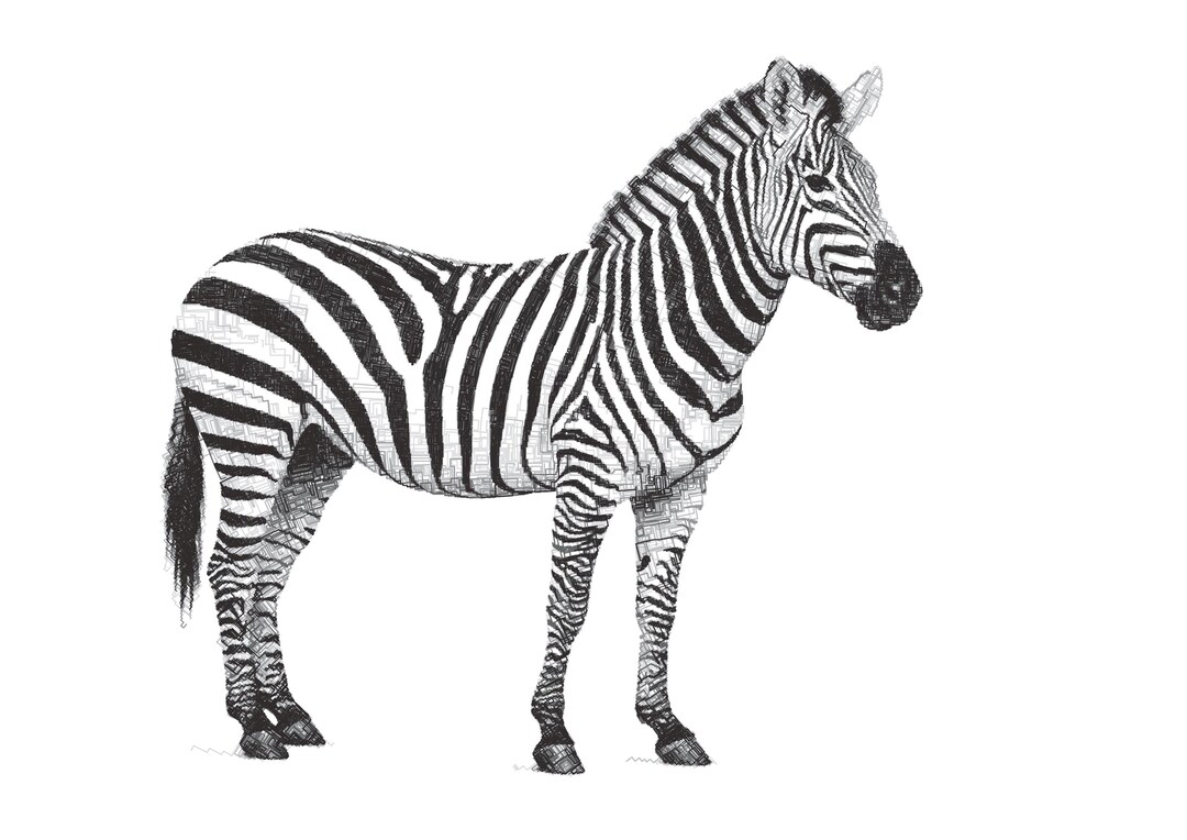Zebra Drawing Formats: Svg, Png, Jpeg, Gcode, HPGL, TIF, PNG - Etsy