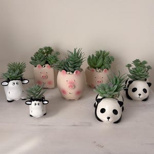 May include: A collection of ceramic animal planters, including pigs, cows, and pandas, each holding a succulent plant. The planters are painted in white, black, and pink, with detailed facial features.