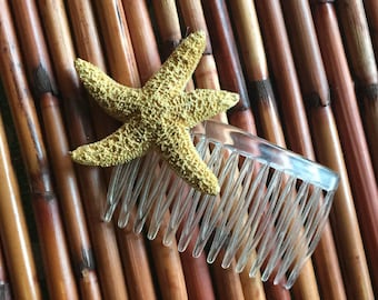 Real Starfish Hair Comb ~ Tropical Pinup Hair Accessory . Ready to Ship