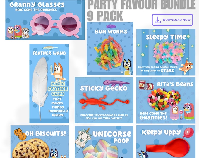 Personalized Bluey Inspired Goodie Bags 8pk - Etsy