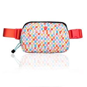 New Rainbow Multi-Check Face Fanny Pack Bum Bag Checkered bag Rainbow Multi-check belt bag image 1