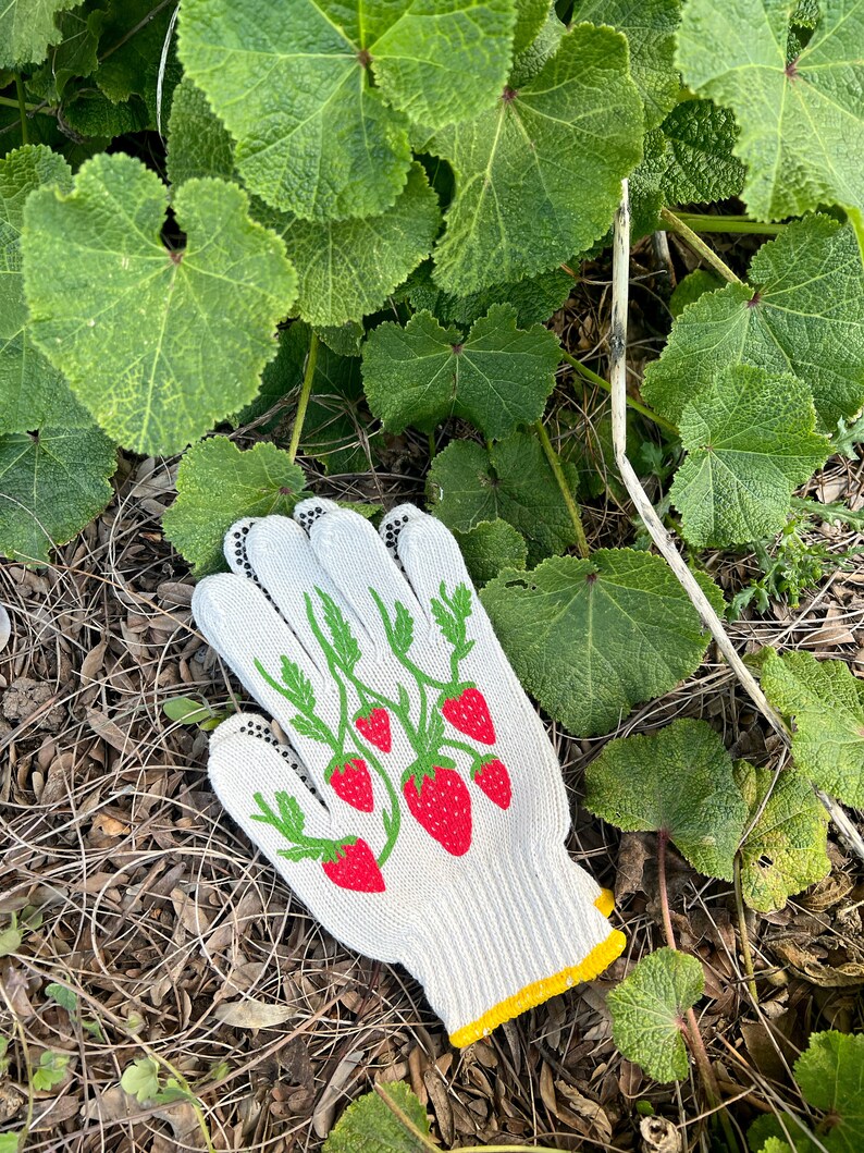 May include: White gardening gloves with a pattern of red strawberries and green leaves on the back of the hand. The gloves are lying on a bed of brown mulch and green leaves.