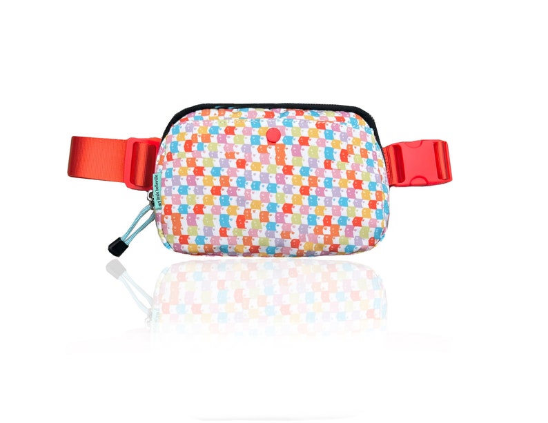 New Rainbow Multi-Check Face Fanny Pack Bum Bag Checkered bag Rainbow Multi-check belt bag image 1