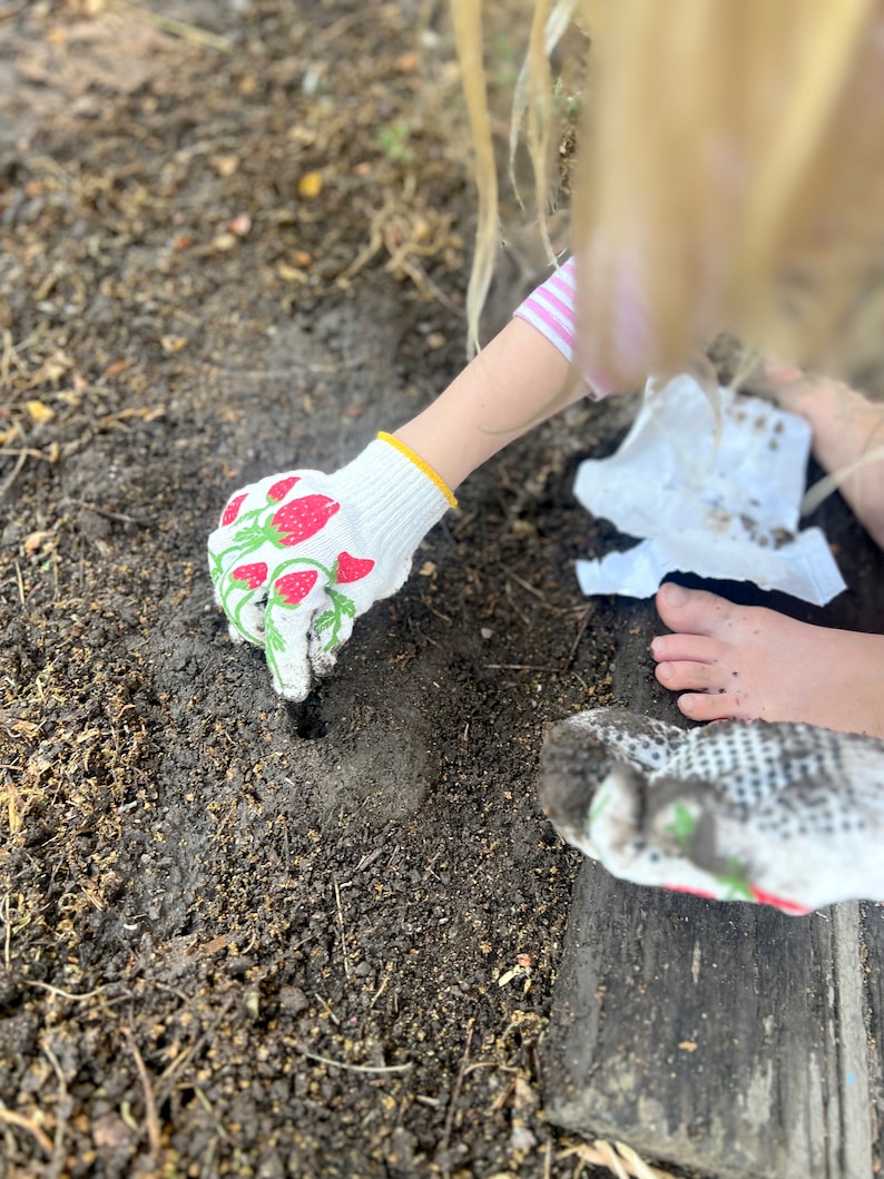Puede incluir: Un ni&ntilde;o con guantes de jardiner&iacute;a blancos con estampado de fresas est&aacute; plantando en un jard&iacute;n. El ni&ntilde;o lleva una camisa a rayas rosa y blancas y tiene el pelo rubio. El pie descalzo del ni&ntilde;o es visible en la imagen.