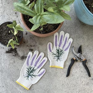 May include: A pair of white gardening gloves with a lavender floral design, yellow trim, and a pair of pruning shears. The gloves are placed on a concrete surface near potted plants.