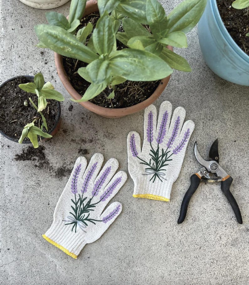 May include: A pair of white gardening gloves with a lavender floral design, yellow trim, and a pair of pruning shears. The gloves are placed on a concrete surface near potted plants.