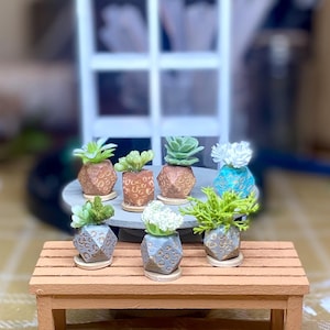 Variety 1” Small Potted Plants Faux House Plants Miniature l 1:12 Scale Dollhouse Miniatures l by JoDearingDesigns