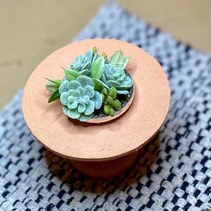 Mini Plant Succulent  l 1:12 Scale Dollhouse Miniatures l Modern Miniatures | by JoDearingDesigns