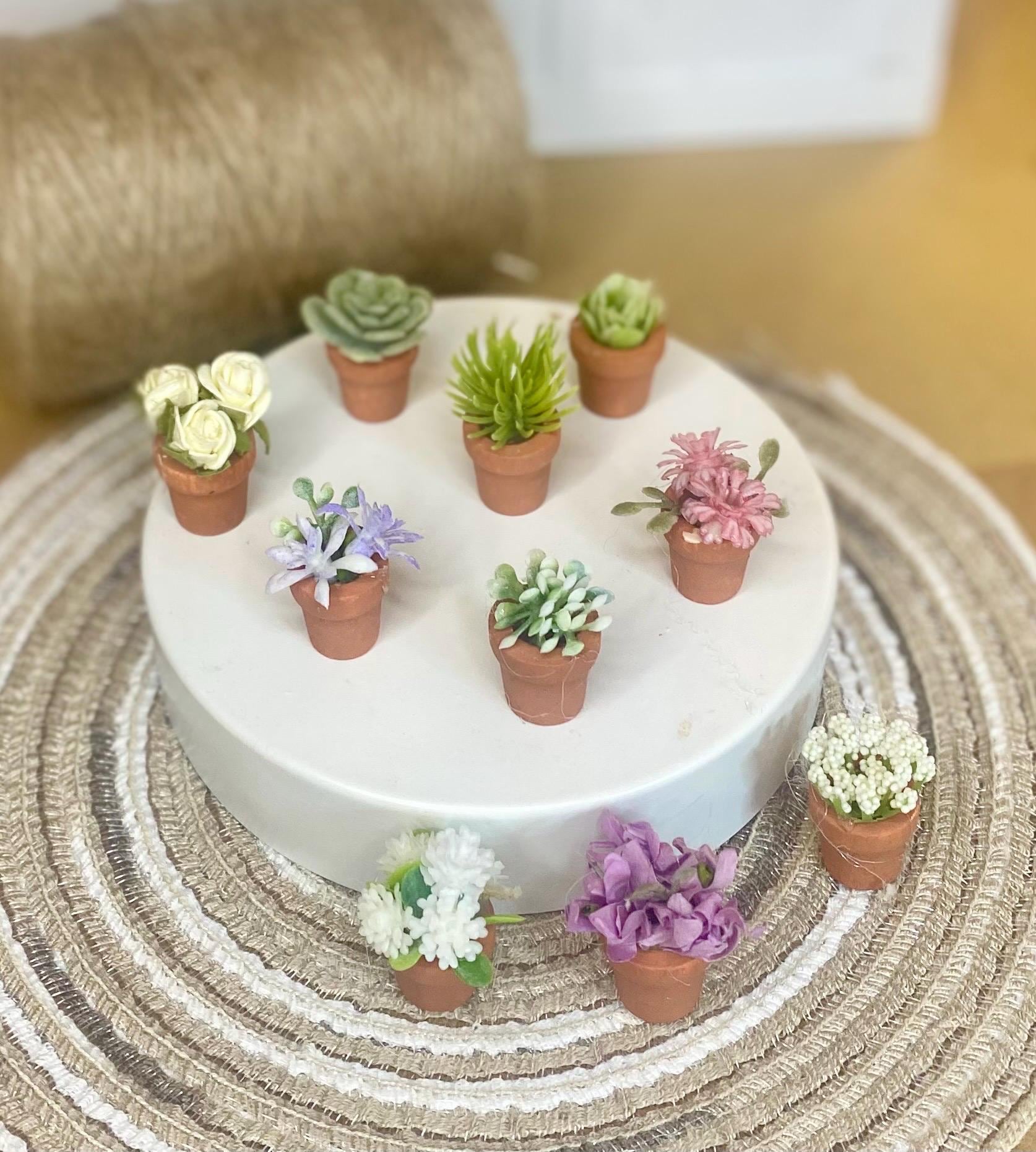 18 PCS Mini Artificial Potted Plants - Resin Tiny Flowers & Cactus For Dollhouse, Fairy Garden, Crafts 9 thumbnail image