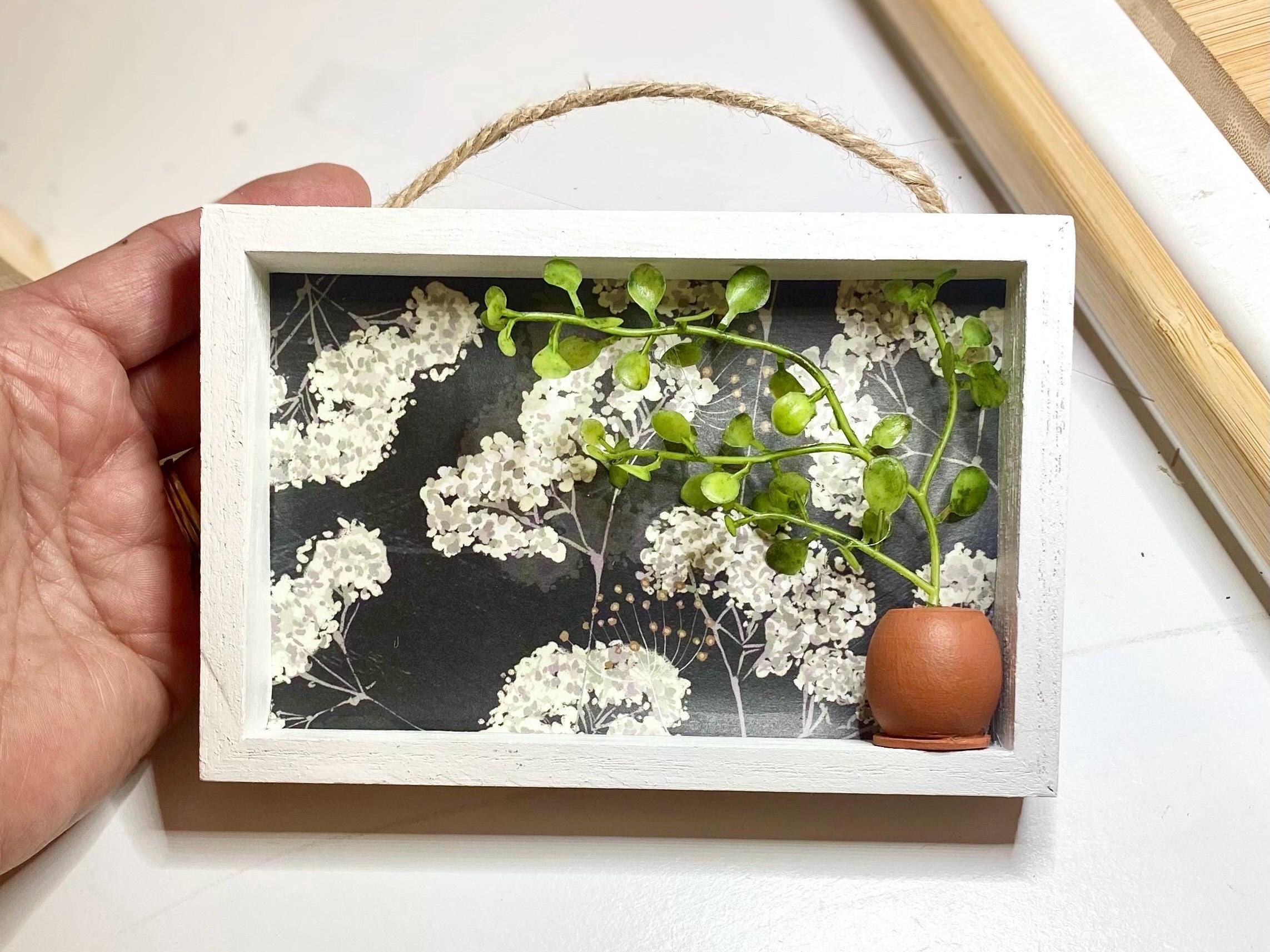 Mini Shadowboxes Miniature Shadow Box Display 1:12 Scale | Mini Display Case Shelf ...