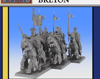 Breton Grail Knights 28 32 mm Wargame Resin 3D Proxy Dungeons And Dragons