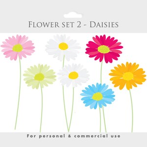 May include: A set of seven daisy flowers in various colors, including pink, white, yellow, orange, blue, and red. The flowers are all facing forward and have a simple, cartoon-like style. The text "FLOWER SET 2 - DAISIES" is at the top of the image, and the text "For personal & commercial use" is at the bottom.