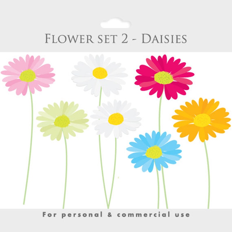May include: A set of seven daisy flowers in various colors, including pink, white, yellow, orange, blue, and red. The flowers are all facing forward and have a simple, cartoon-like style. The text "FLOWER SET 2 - DAISIES" is at the top of the image, and the text "For personal & commercial use" is at the bottom.