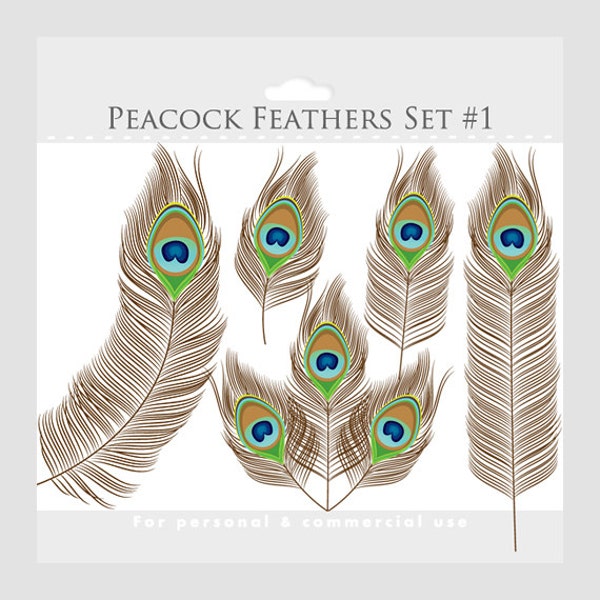 Peacock feather clipart - peacock clip art, feathers, brown, green, blue, aqua, elegant digital designs for commercial and personal use