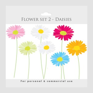 May include: A set of seven colorful daisy flower illustrations, with the text "FLOWER SET 2 - DAISIES" and "For personal & commercial use" at the top and bottom of the image.