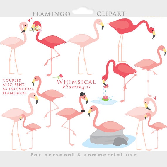 Flamingo clipart - flamingos clip art flamingoes birds baby in love pink exotic romantic whimsical love for scrapbooking cupcake toppers