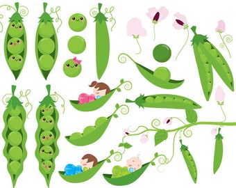 Peas in a pod clip art sweet peas clipart baby babies green vines flowers sweetpeas digital for scrapbooking invites commercial use