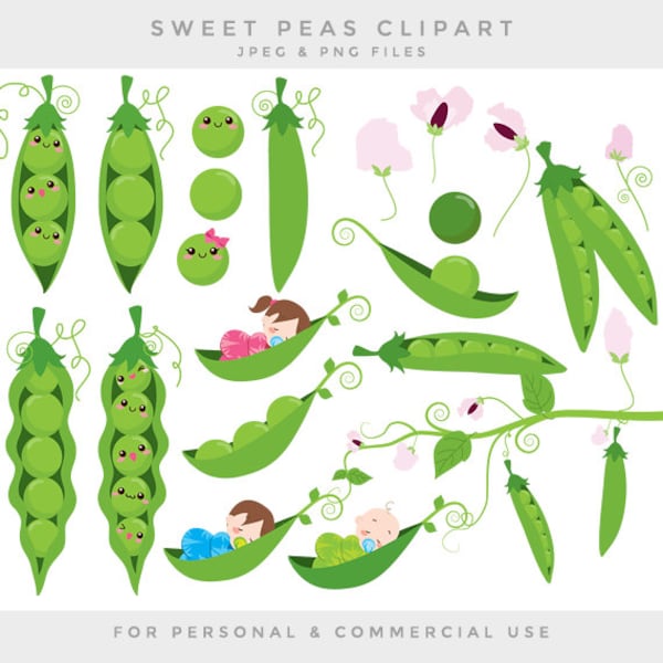 Peas in a pod clip art sweet peas clipart baby babies green vines flowers sweetpeas digital for scrapbooking invites commercial use