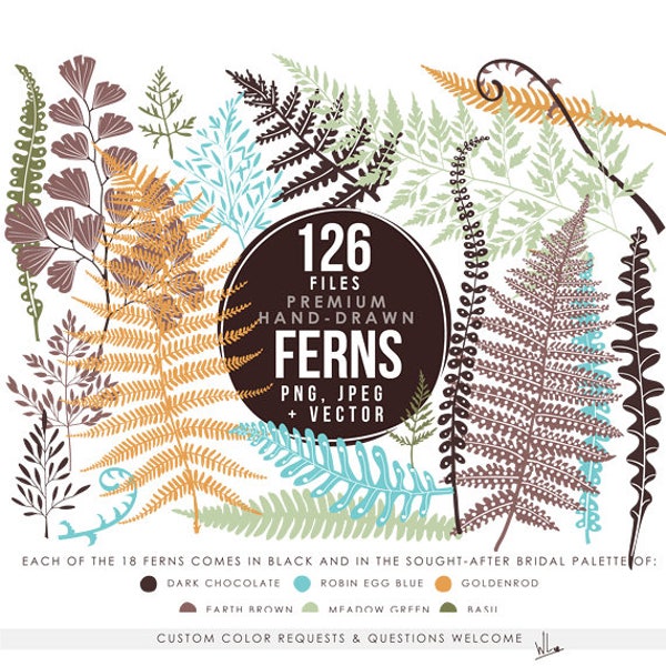 Ferns clipart hand drawn fern clip art botanical clip art forest leaves wedding clip art nature woodland instant download DIY wedding