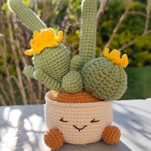 Handmade Crochet Cactus Plush – Cute Succulent Pot Home Decor, Gift for Plant Lovers, Birthday or Housewarming Present