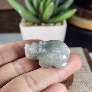 3D Wealth Jade dragon turtle absorbs money well carved untreated natural jadeite jade pendant necklace or desk ornament