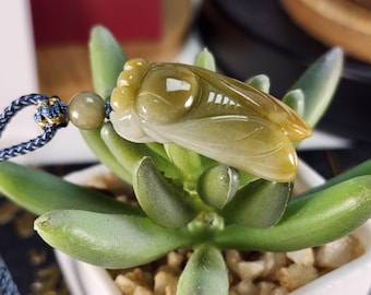 May include: A jade green cicada pendant with a yellow and brown color variation. The pendant is attached to a blue and gold cord.