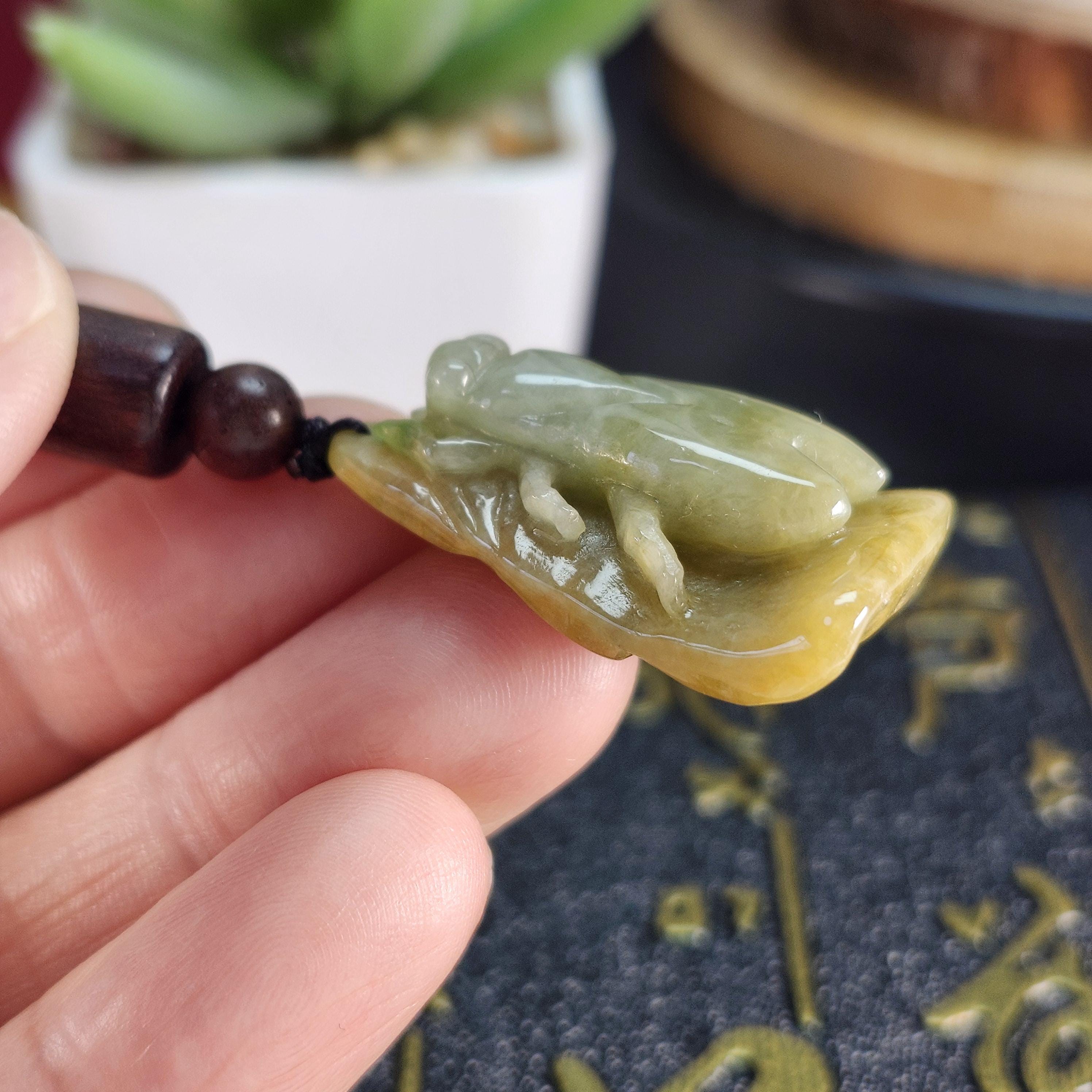 Jade Carved Cicada - Etsy