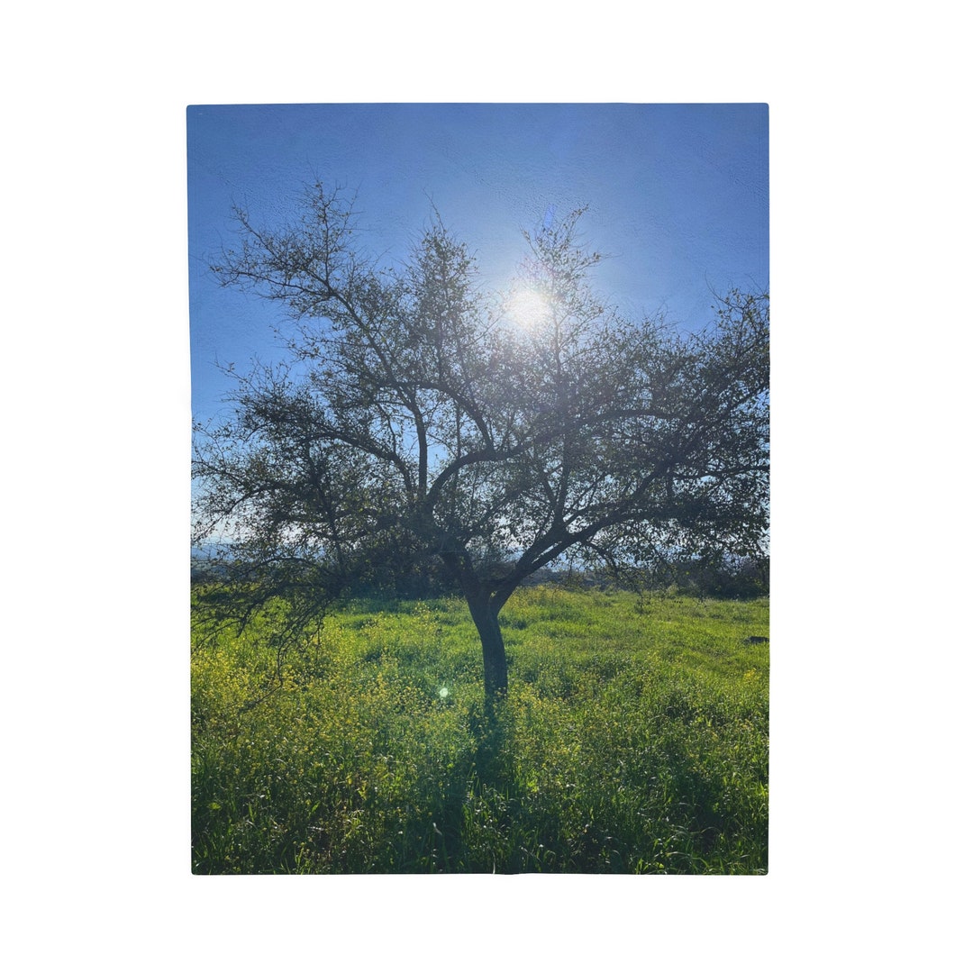 Fancy Trees Plush Blanket main image 0