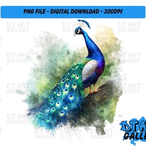 Prachtige Peacock Bird aquarel stijl clipart-digitale download-hoge kwaliteit png-bestand-perfect voor T-shirts, stickers, mokken en meer
