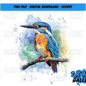 Prachtige ijsvogel aquarel stijl clipart-digitale download-hoge kwaliteit png-bestand-perfect voor T-shirts, stickers, mokken en meer